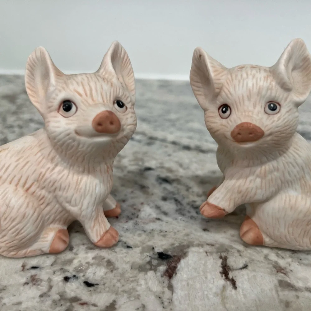 - Salt and pepper pig shakers